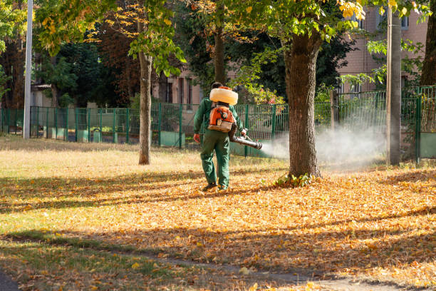 Best Best Pest Control Companies  in Del Monte Forest, CA