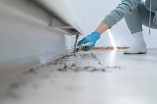 Best Termite Control Services  in Del Monte Forest, CA
